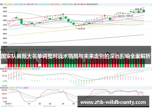国家队最新大名单调整对战术格局与未来走势的深远影响全面解析